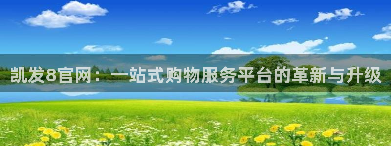 壹号玩家app下载：凯发8官网：一站式购物服务平台的革新与升级