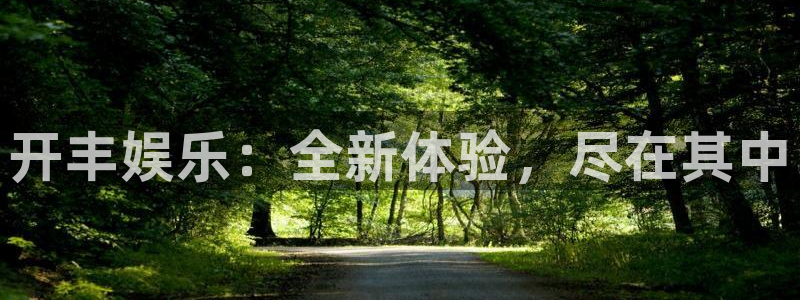 BB贝博艾弗森账号注册：开丰娱乐：全新体验，尽在其中