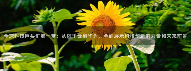 BB贝博艾弗森游戏试玩：全球科技巨头汇聚一堂：从阿里云到华为，全面展示科技创新的力量和未来前景