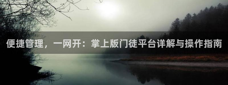 BB贝博艾弗森官网版：便捷管理，一网开：掌上版门徒平台详解与操作指南