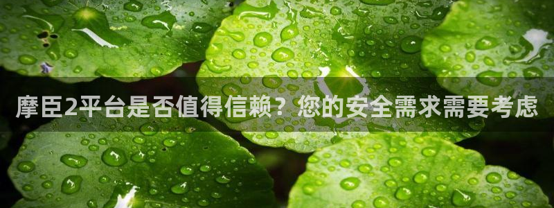 壹号电子娱乐app下载最新版本安装：摩臣2平台是否值得信赖？您的安全需求需要考虑
