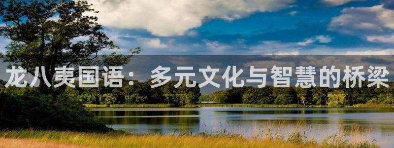 BB贝博艾弗森app下载安装：龙八夷国语：多元文化与智慧的桥梁