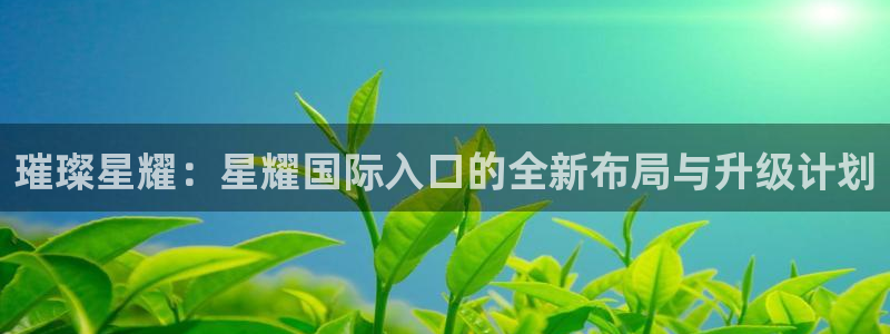 bb贝博艾弗森2：璀璨星耀：星耀国际入口的全新布局与升级计划