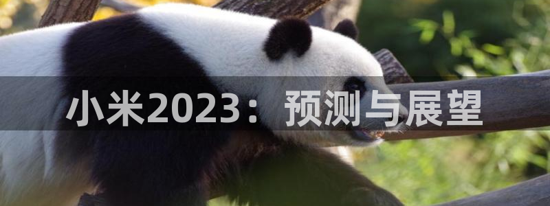 BB贝博艾弗森下载二维码：小米2023：预测与展望