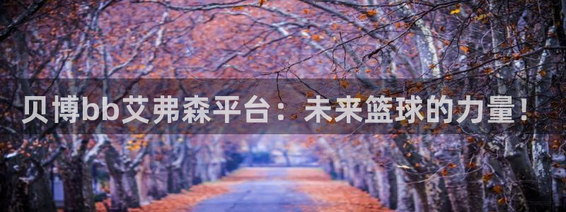 下载BB贝博艾弗森：贝博bb艾弗森平台：未来篮球的力量！
