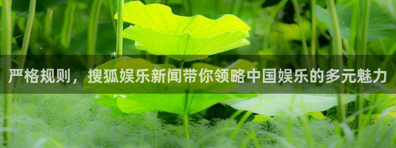 BB贝博艾弗森注册入口与教程：严格规则，搜狐娱乐新闻带你领略中国娱乐的多元魅力