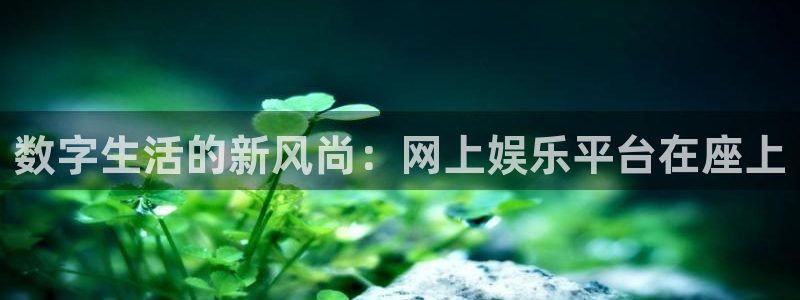 bb贝博艾弗森官网：数字生活的新风尚：网上娱乐平台在座上