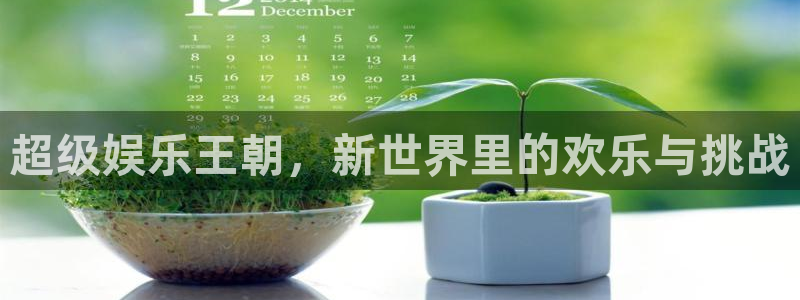 BB贝博艾弗森游app：超级娱乐王朝，新世界里的欢乐与挑战