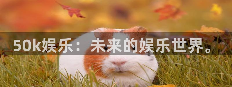 BB贝博艾弗森app：50k娱乐：未来的娱乐世界。