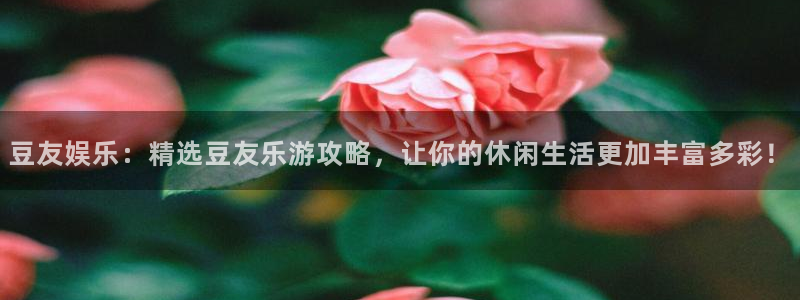 BB贝博艾弗森平台登录入口：豆友娱乐：精选豆友乐游攻略，让你的休闲生活更加丰富多彩！