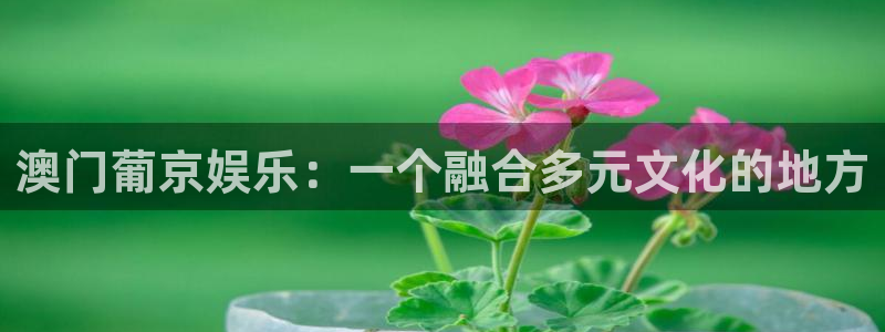 壹号平台下载安装：澳门葡京娱乐：一个融合多元文化的地方