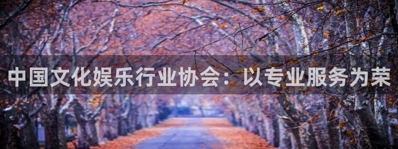 BB贝博艾弗森分红代理计划：中国文化娱乐行业协会：以专业服务为荣