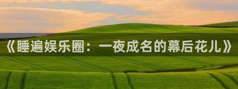 BB贝博艾弗森能退款吗：《睡遍娱乐圈：一夜成名的幕后花儿》
