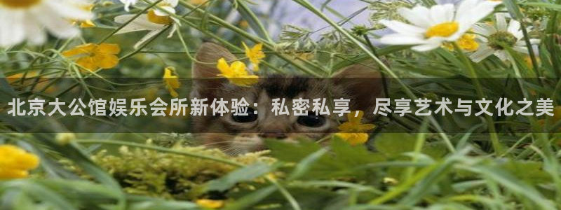 BB贝博艾弗森是真的吗：北京大公馆娱乐会所新体验：私密私享，尽享艺术与文化之美