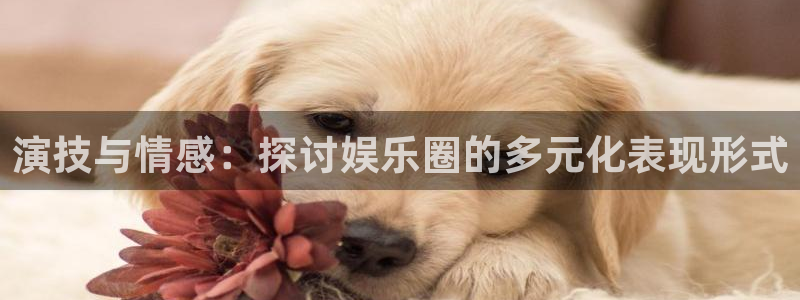 壹号大舞台娱乐app下载安装：演技与情感：探讨娱乐圈的多元化表现形式