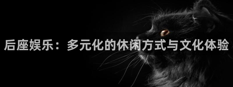 南宫BB贝博艾弗森官网下载链接：后座娱乐：多元化的休闲方式与文化体验