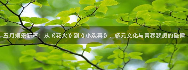BB贝博艾弗森游戏：五月娱乐新篇：从《花火》到《小欢喜》，多元文化与青春梦想的碰撞