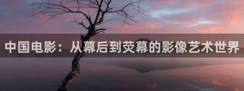 BB贝博艾弗森下载官网入口在哪：中国电影：从幕后到荧幕的影像艺术世界