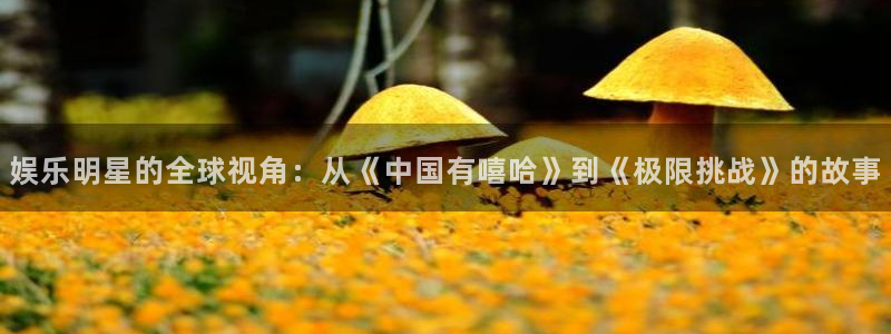 贝博·艾弗森官网入口：娱乐明星的全球视角：从《中国有嘻哈》到《极限挑战》的故事