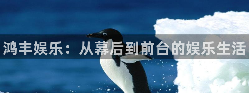 壹号电子娱乐app下载最新版：鸿丰娱乐：从幕后到前台的娱乐生活
