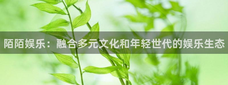 BB贝博艾弗森吧：陌陌娱乐：融合多元文化和年轻世代的娱乐生态