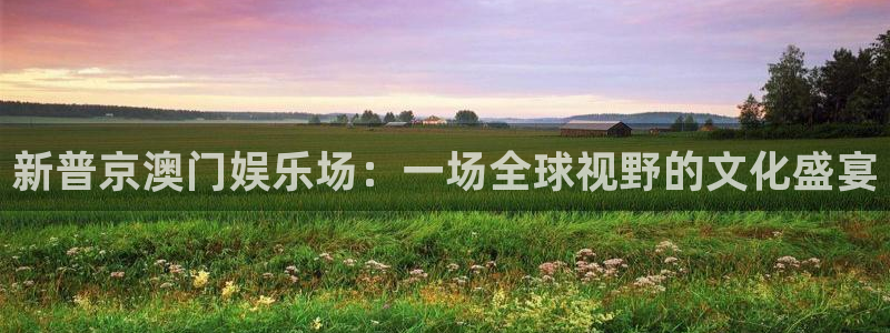 BB贝博艾弗森电子游戏网页版：新普京澳门娱乐场：一场全球视野的文化盛宴