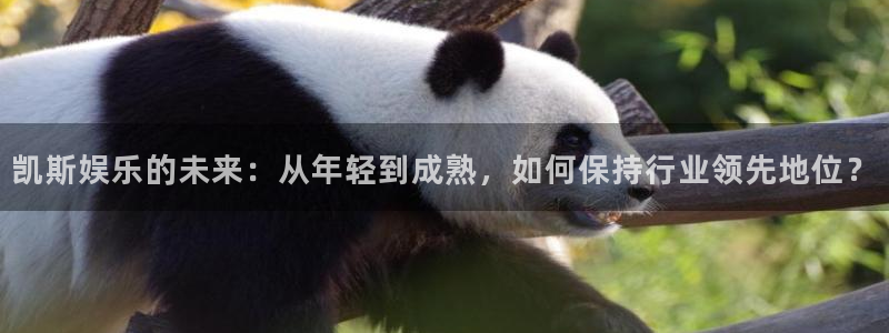 BB贝博艾弗森app新版上线体验.游戏更新入口.中国：凯斯娱乐的未来：从年轻到成熟，如何保持行业领先地位？