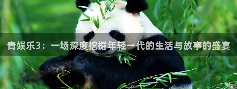 BB贝博艾弗森下载二维码：青娱乐3：一场深度挖掘年轻一代的生活与故事的盛宴