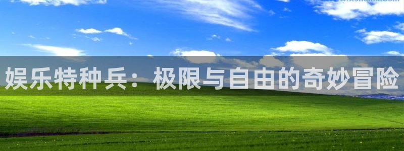 BB贝博艾弗森,com：娱乐特种兵：极限与自由的奇妙冒险