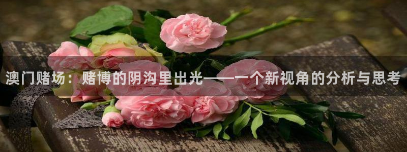 bb体育平台官网艾弗森：澳门赌场：赌博的阴沟里出光——一个新视角的分析与思考