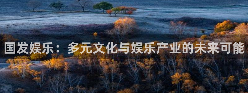 BB贝博艾弗森是正规平台吗：国发娱乐：多元文化与娱乐产业的未来可能