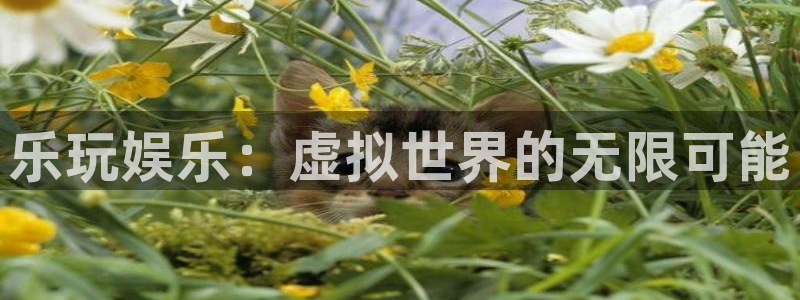 BB贝博艾弗森.ccmpc正版官网版下载：乐玩娱乐：虚拟世界的无限可能