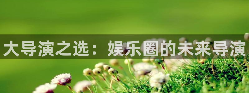 BB贝博艾弗森那个爆率高：大导演之选：娱乐圈的未来导演