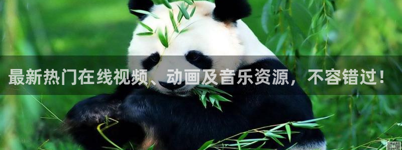 BB贝博艾弗森平台app下载：最新热门在线视频、动画及音乐资源，不容错过！