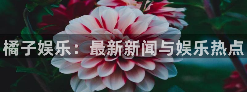 BB贝博艾弗森注册网站app：橘子娱乐：最新新闻与娱乐热点