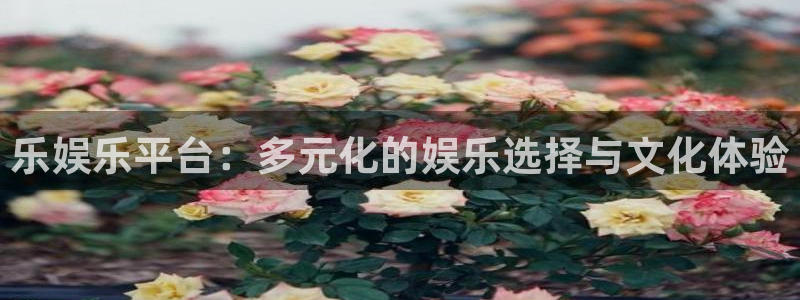 壹号玩家app下载：乐娱乐平台：多元化的娱乐选择与文化体验