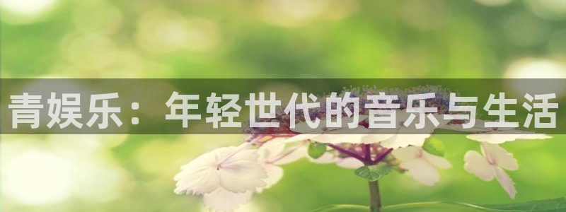 BB贝博艾弗森退款怎么退：青娱乐：年轻世代的音乐与生活