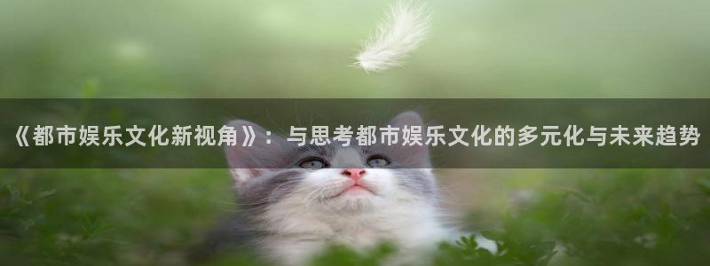 壹号大舞台怎么注册：《都市娱乐文化新视角》：与思考都市娱乐文化的多元化与未来趋势