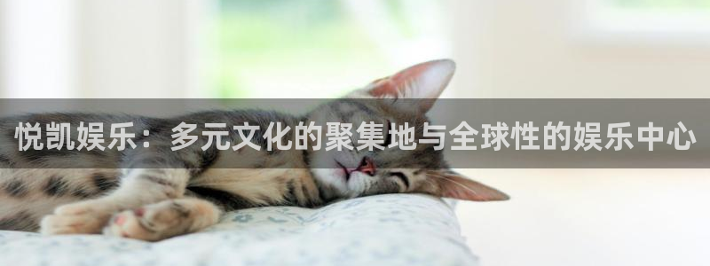 BB贝博艾弗森网站：悦凯娱乐：多元文化的聚集地与全球性的娱乐中心