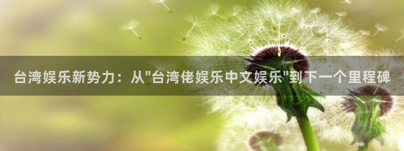 壹号国际app免费下载安装：台湾娱乐新势力：从\