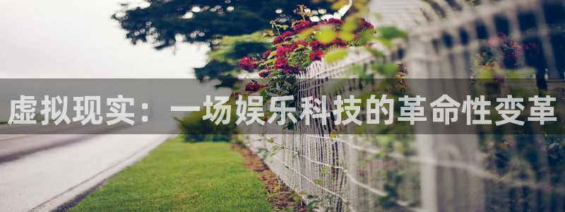 壹号app下载官网娱乐：虚拟现实：一场娱乐科技的革命性变革