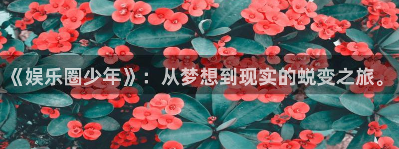BB贝博艾弗森软件：《娱乐圈少年》：从梦想到现实的蜕变之旅。
