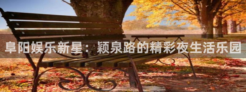 BB贝博艾弗森平台链接：阜阳娱乐新星：颖泉路的精彩夜生活乐园