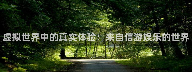 BB贝博艾弗森-ng大舞台,有梦你就来：虚拟世界中的真实体验：来自信游娱乐的世界