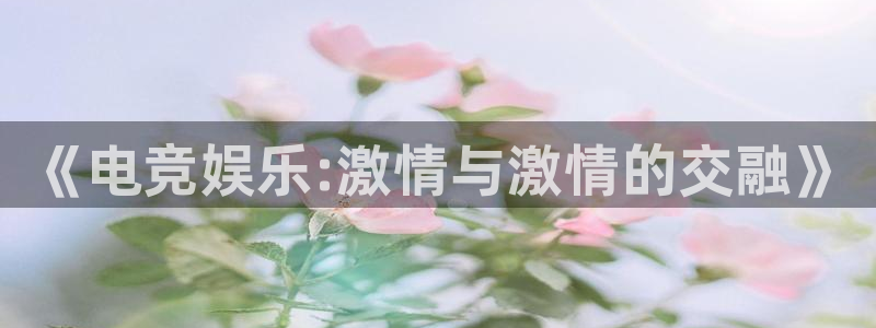 BB贝博艾弗森pg：《电竞娱乐:激情与激情的交融》