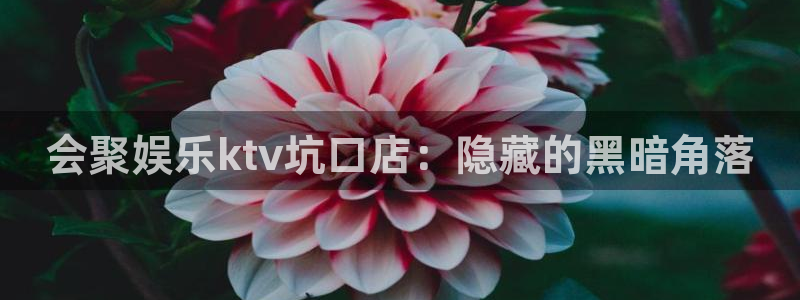 BB贝博艾弗森app官网下载苹果：会聚娱乐ktv坑口店：隐藏的黑暗角落