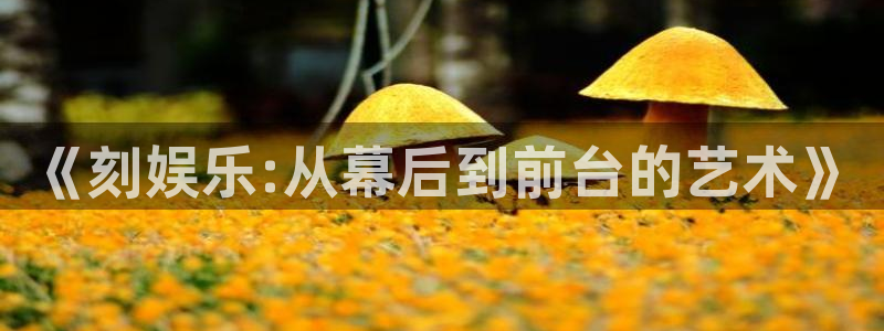 BB贝博艾弗森app哪个模式容易赢：《刻娱乐:从幕后到前台的艺术》