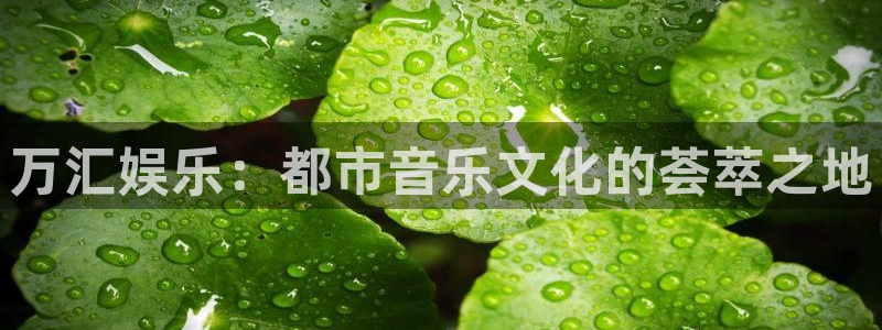 壹号大舞台官网：万汇娱乐：都市音乐文化的荟萃之地