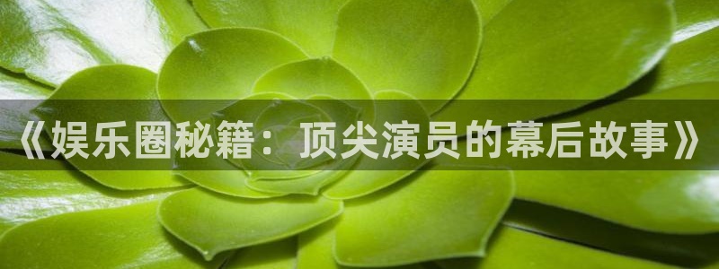 南宫BB贝博艾弗森：《娱乐圈秘籍：顶尖演员的幕后故事》